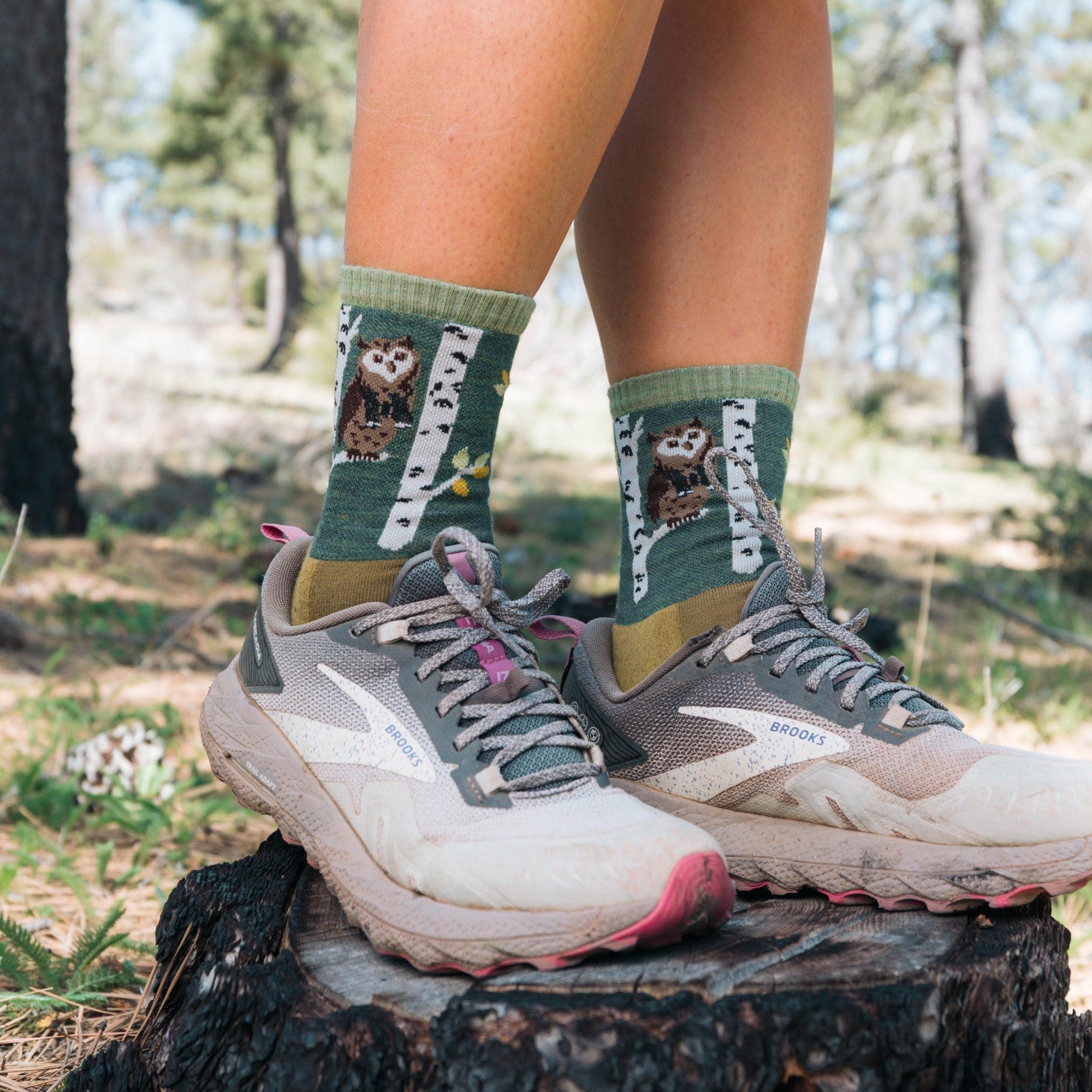 Women's Critter Club Micro Crew Lightweight Hiking Socks